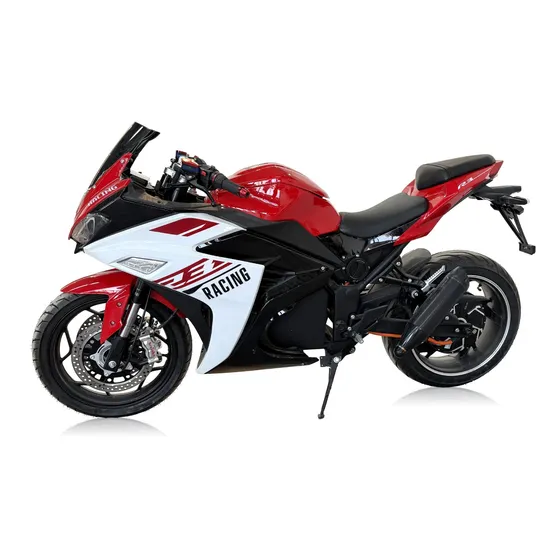 2025 High Quality Racing Electric Motorcycle 3000W