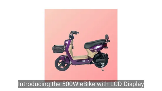 Sleek Electric Motorcycle with LCD Display Bicycle Ebike Ebicycle Tricycle 350W