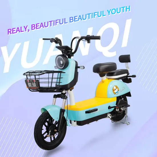 Electric Bike with Anti
