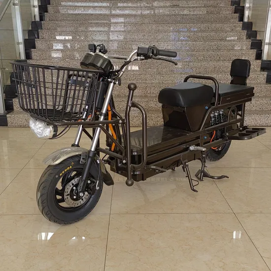 Chinese High Security Brake Electric Motor Bike for Sale 